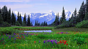 Stunning View Of The Rocky Mountains In Colorado Wallpaper