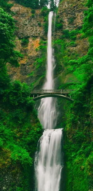 Stunning Waterfall Landscape Wallpaper