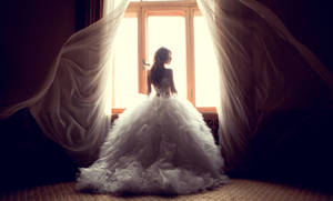 Stunning Wedding Bride Wallpaper