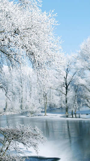 Stunning Winter Landscape - Enjoy The Moment Wallpaper