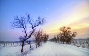 Stunning Winter Landscape Of Snowy Road Wallpaper