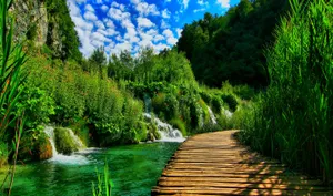 Stunning Wooden Walkway In Croatia's Nature Park Wallpaper