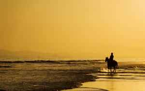 Stunning Yellow Beach At Sunset Wallpaper