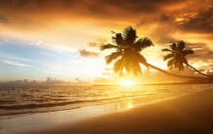 Stunning Yellow Beach Sunset Wallpaper