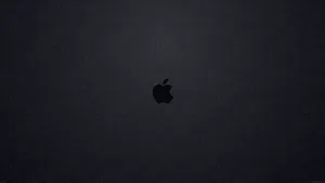 Stylish And Simple Black 1600 X 900 Wallpaper Wallpaper