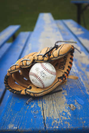 Stylish Baseball Gloves On A Field Wallpaper