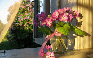 Stylish Elegance - Japanese Primrose In Clear Flower Vase Wallpaper