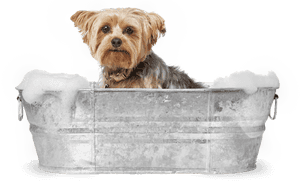 Stylish Gentleman In Front Of Mirror Personal Grooming And Skincare Wallpaper