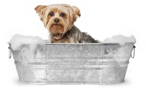 Stylish Gentleman In Front Of Mirror Personal Grooming And Skincare Wallpaper