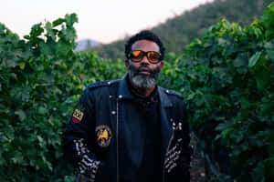 Stylish Manin Vineyard Wallpaper