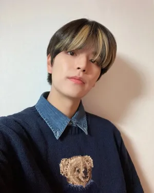 Stylish Portraitwith Teddy Bear Sweater Wallpaper