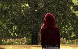 Stylish Red Hoodie On A White Background Wallpaper