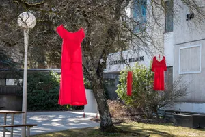 Stylish Woman In Stunning Red Dress Wallpaper