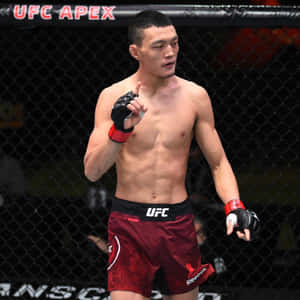 Su Mudaerji On The Octagon Wallpaper