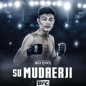 Su Mudaerji Ufc Poster Wallpaper