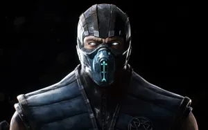 Sub-zero In Action Wallpaper