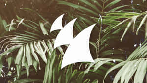 Subliminal Green Plants Wallpaper