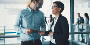 Subordinate Support Worker Wallpaper