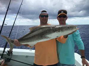 Successful Cobia Catchat Sea Wallpaper