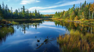 Sudbury Tranquil Autumn Lake Wallpaper