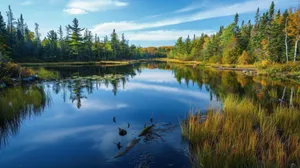Sudbury Tranquil Autumn Lake Wallpaper