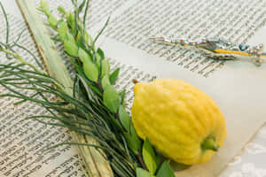 Sukkot Festival Traditional Items Wallpaper