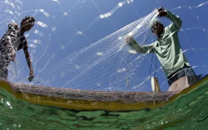 Sulawesi Fishermen Casting Their Net Wallpaper