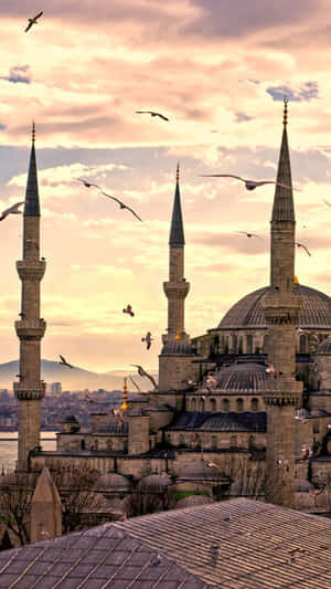 Sultan Ahmed Mosque Birds Flying Wallpaper