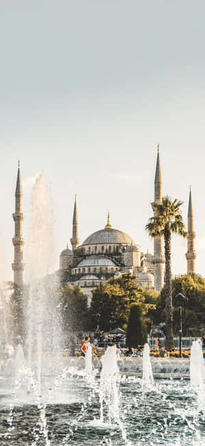 Sultan Ahmed Mosque Fountain Phone Wallpaper