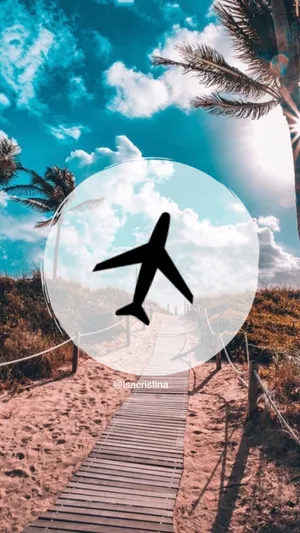 Summer Aesthetic Airplane Icon Wallpaper