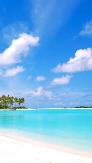 Summer Beach Nature Android Hd Wallpaper