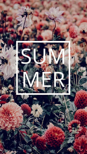 Summer Floral Backdrop Wallpaper