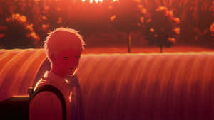 Summer Hikaru Sunset Reflection Wallpaper