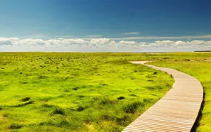 Summer Landscape With Charming Countryside View Wallpaper