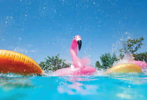 Summer Splash_ Flamingo Floatie.jpg Wallpaper