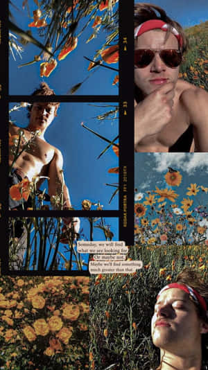 Summer Vibes Collage Man Flowers Sunglasses Wallpaper