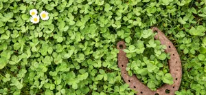 Summer Vibes In A Beach In Acapulco, Mexico Wallpaper