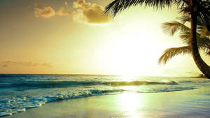 Summer Vibes Tropical Sunrise Wallpaper