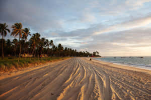 Sun-kissed Brazilian Beach Paradise Wallpaper