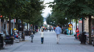 Sundsvall Storgatan Pedestrian Street Wallpaper