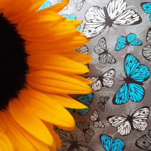 Sunflower Butterfly Pattern Contrast.jpg Wallpaper