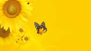 Sunflower_ Butterfly_ Yellow_ Background Wallpaper