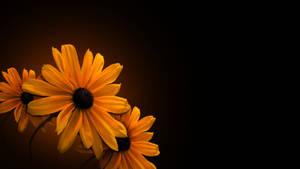 Sunflower Dark Floral Wallpaper