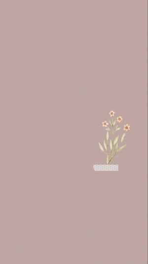 Sunflower For Instagram Stories Wallpaper