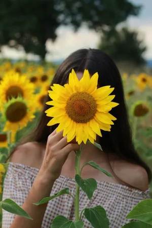 Sunflower Girl Aesthetic Wallpaper