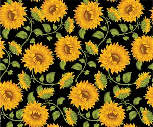 Sunflower Power Wallpaper