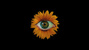 Sunflower Vision_ Surreal Art.jpg Wallpaper