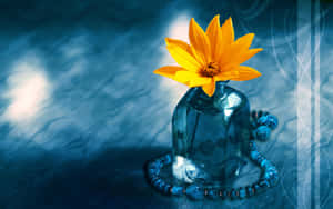 Sunflowerin Blue Glass Vase Wallpaper