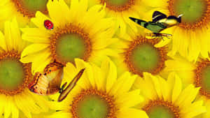 Sunflowers_with_ Butterfly_and_ Ladybug Wallpaper