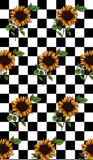 Sunflowerson Checkerboard Pattern Wallpaper